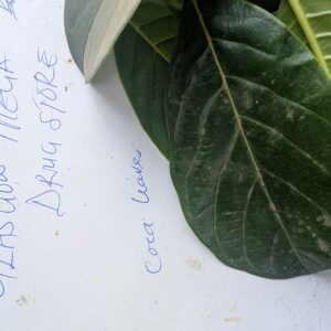 Coca Leaves